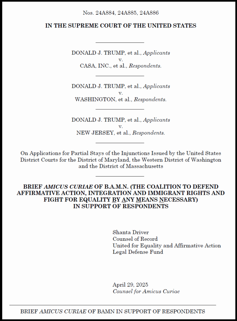 BAMN amicus brief defending birthright citizenship, front page