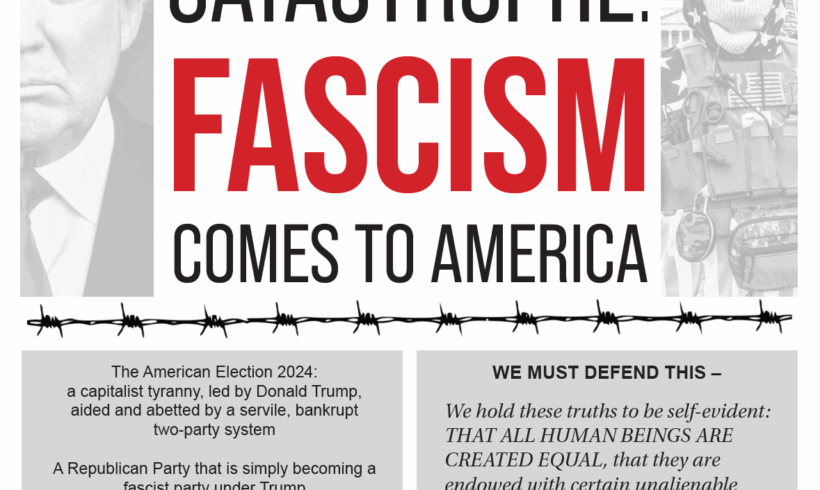 BAMN publishes Liberator #11